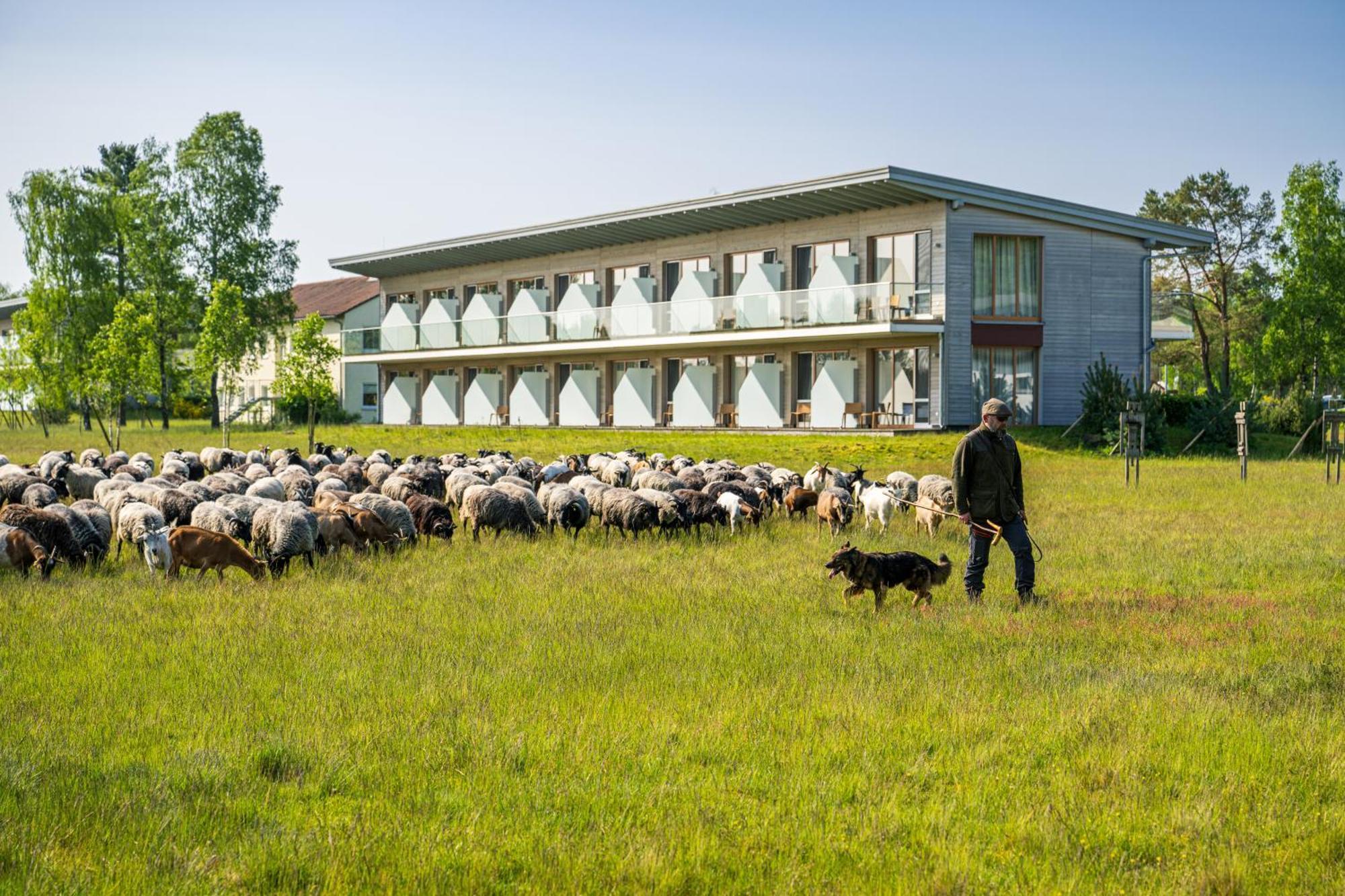 Hotelcamp Reinsehlen Schneverdingen Luaran gambar