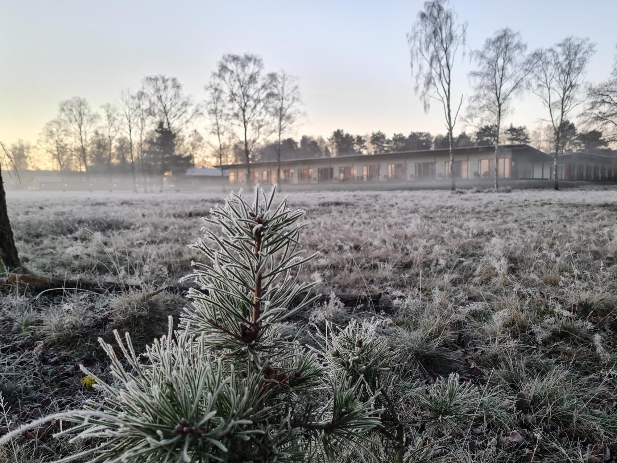 Hotelcamp Reinsehlen Schneverdingen Luaran gambar