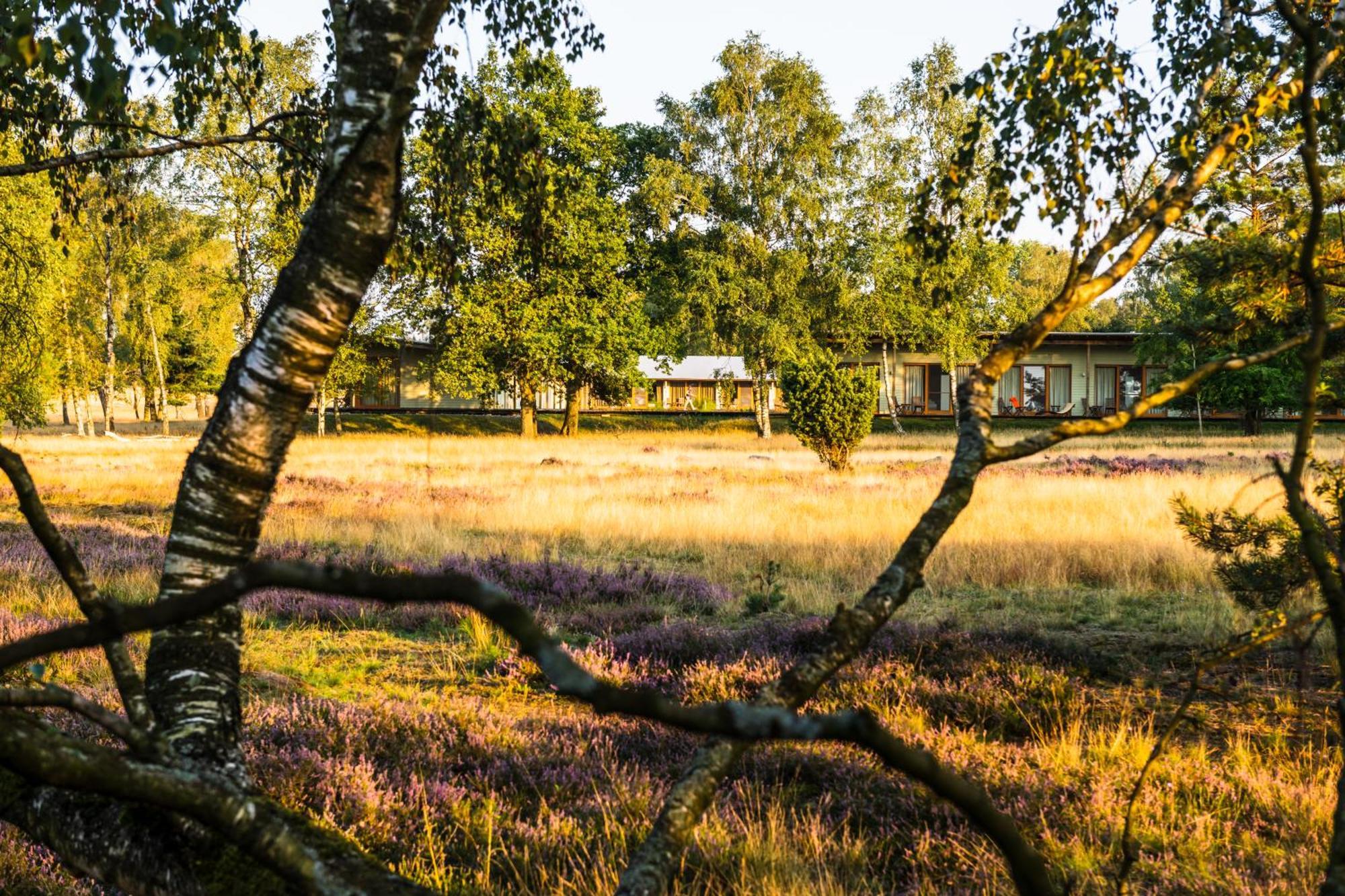 Hotelcamp Reinsehlen Schneverdingen Luaran gambar