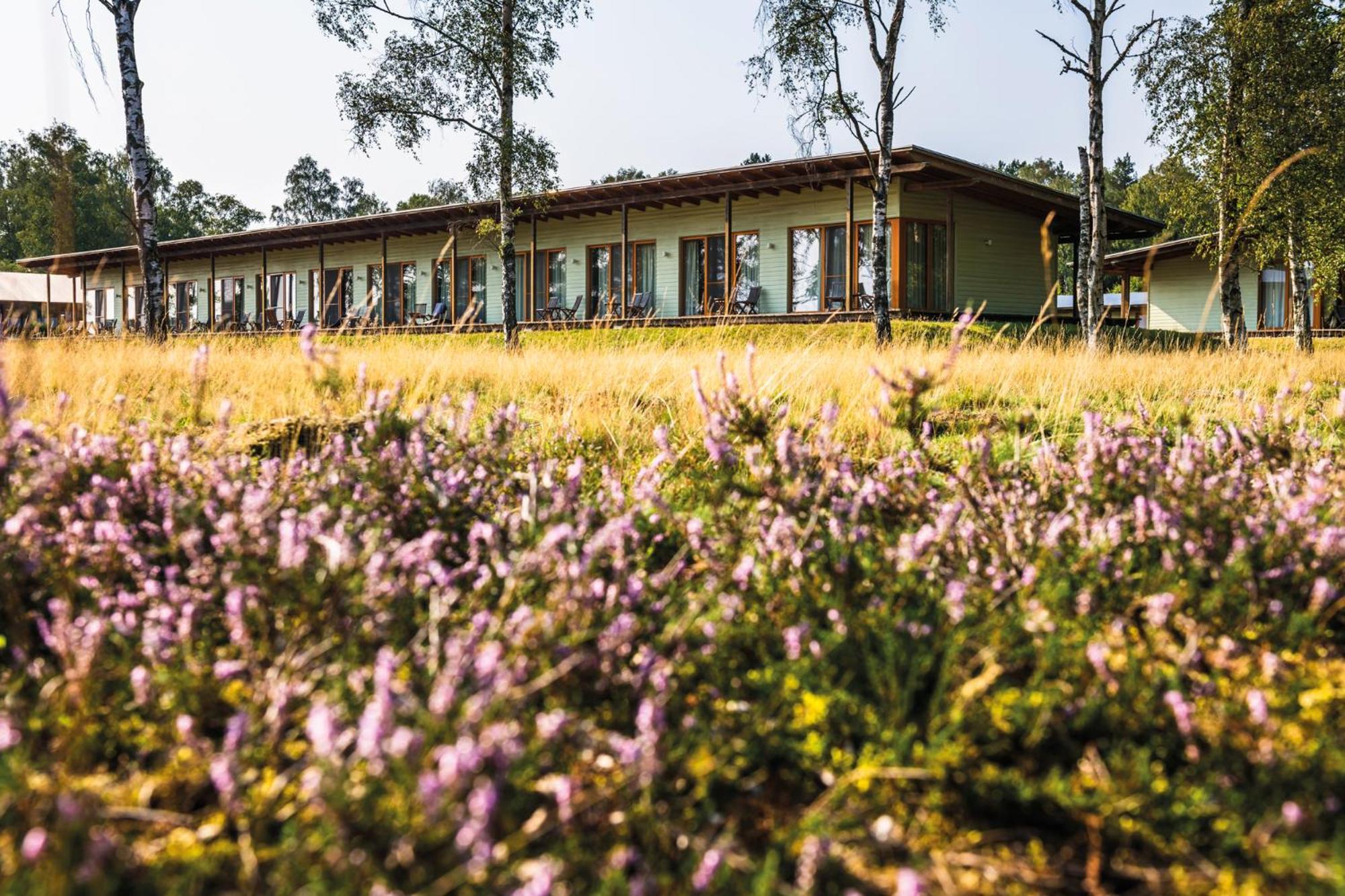 Hotelcamp Reinsehlen Schneverdingen Luaran gambar