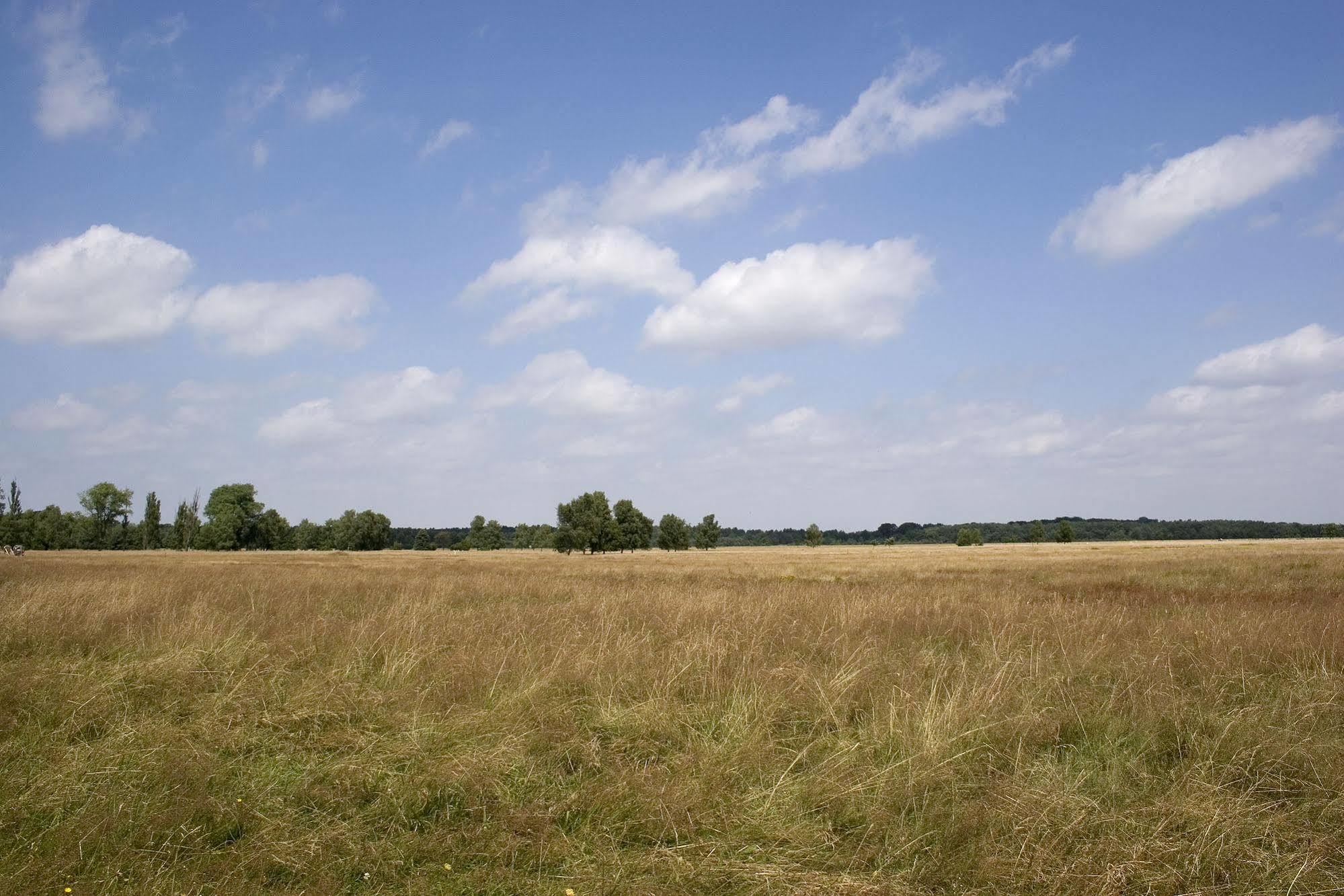 Hotelcamp Reinsehlen Schneverdingen Luaran gambar