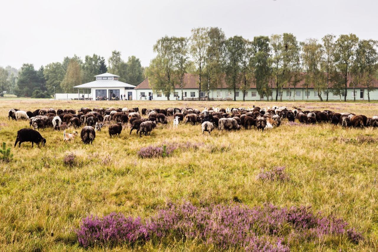 Hotelcamp Reinsehlen Schneverdingen Luaran gambar